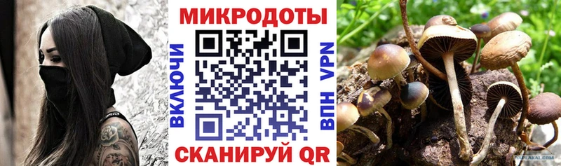 Псилоцибиновые грибы Cubensis  Усть-Катав 